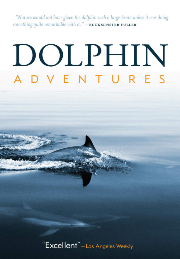 Dolphin Adventures (DVD)